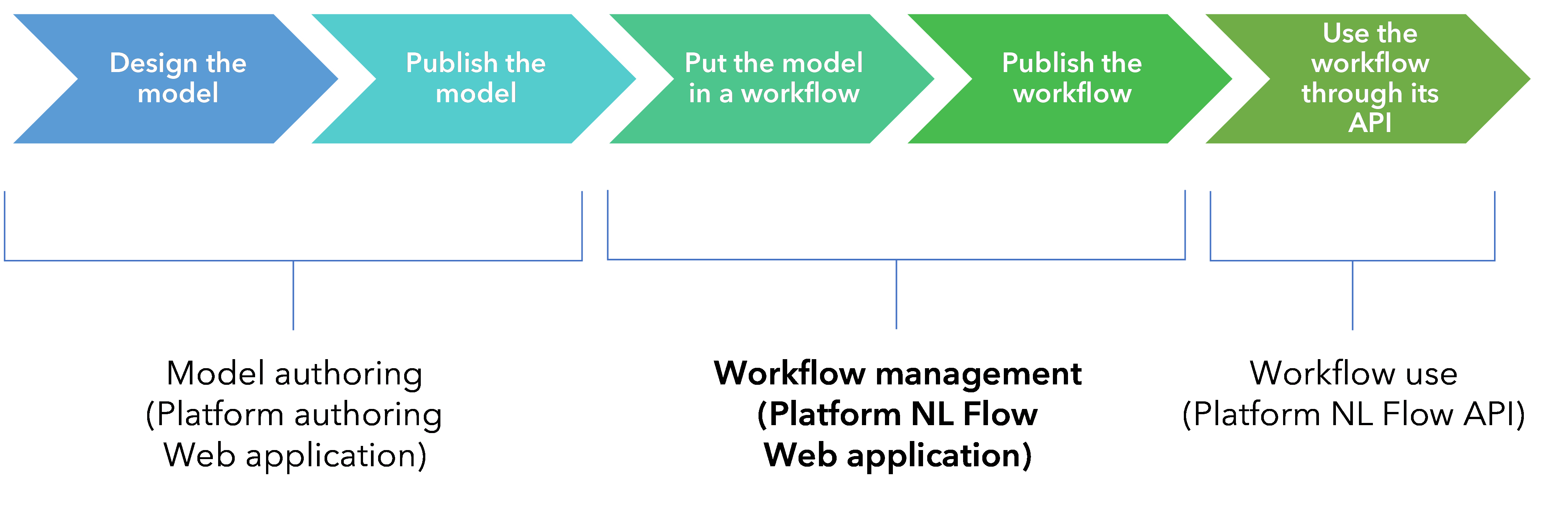 What Is a User Flow?  Definition and Overview